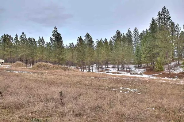 Mead, WA 99021,14810 N Falcon Crest Ln