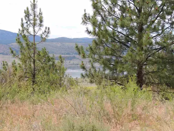 Seven Bays, WA 99122,39581 Sun Ridge N. #Lot 62-1