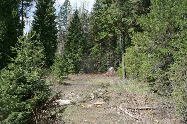 Newport, WA 99156,00 Granite Rd Lot 8 Blk 4