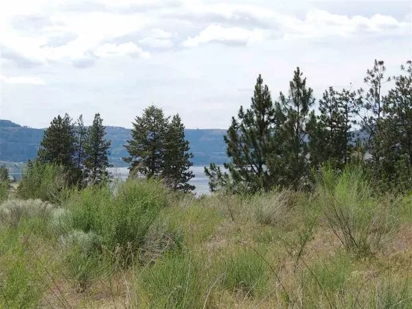 Seven Bays, WA 99122,39579/39583 Sun Ridge N. #Lot 62