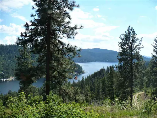 4100 N Deer Lake Lot 4 Rd, Loon Lake, WA 99148