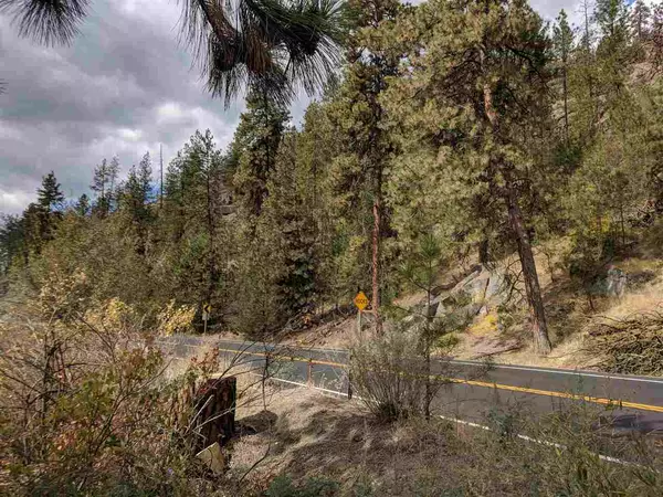 Nine Mile Falls, WA 99026,0000 Hwy 291 #Parcel #5809800