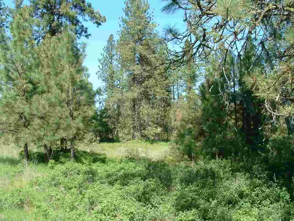 Medical Lake, WA 99022,183xx W Genni Rock Ln #Lot 4