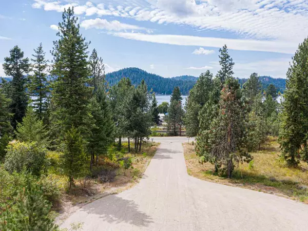 40070 Lake Terrace Ct, Loon Lake, WA 99148