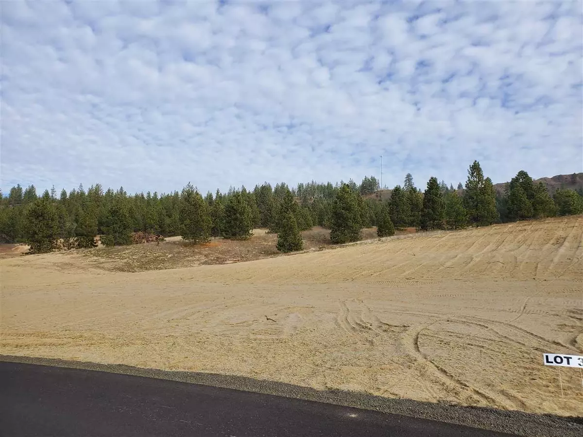 Nine Mile Falls, WA 99026,60841 Lake Spokane Dr #Lot #30