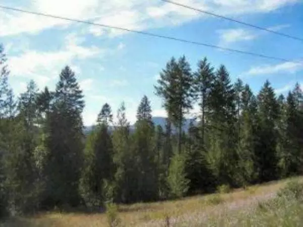 Ione, WA 99139,Lot 1 Greenhouse Rd