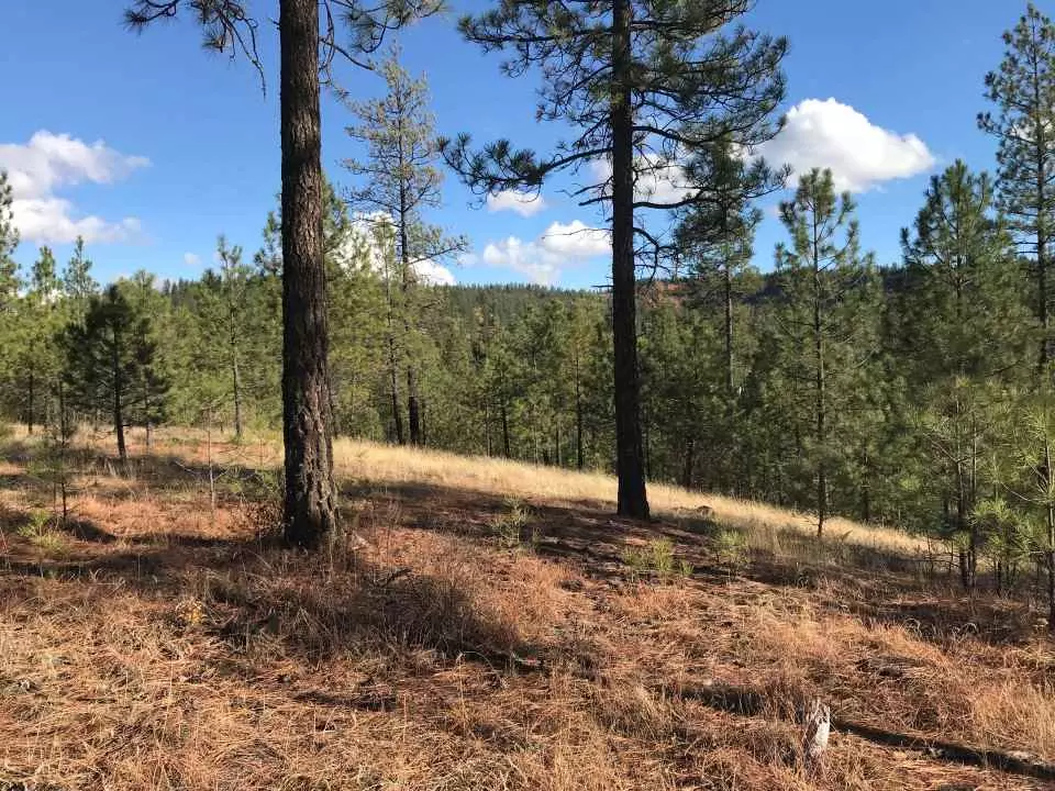 Springdale, WA 99173,Lot 11 Woods WAY