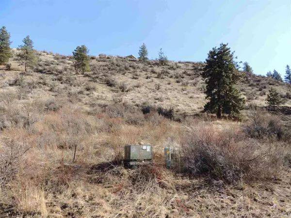 Deer Meadows, WA 99122,42600 Buckhorn Rd N #Lot 18