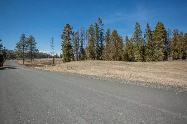 Colville, WA 99114,21352 Whitetail WAY