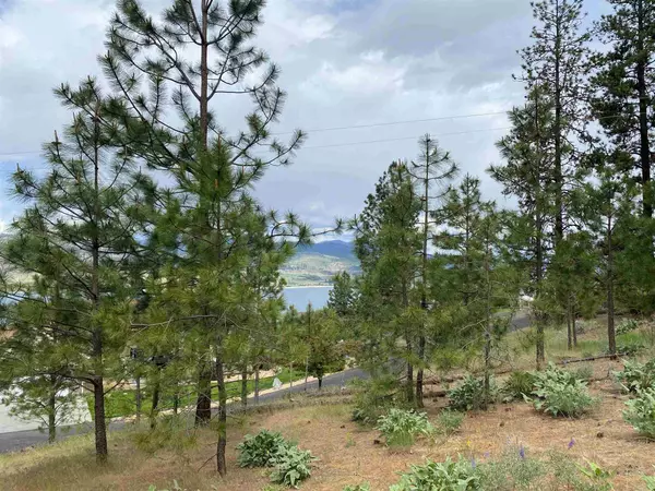 Seven Bays, WA 99122-8829,41905 N Granite Dr