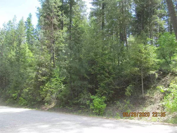 Inchelium, WA 99138,000 SOUTH TWIN LAKES RD Rd