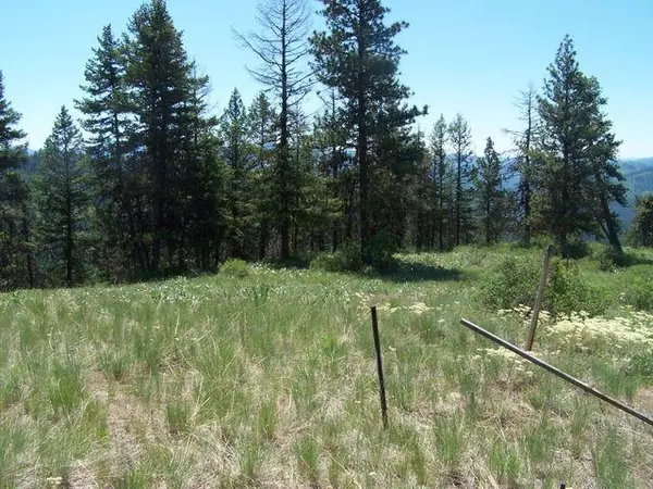 Republic, WA 99166-0000,Lot 29 Gold Mountain Ranches Rd