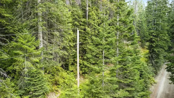 Mead, WA 99021,19XXX E Wallis Rd