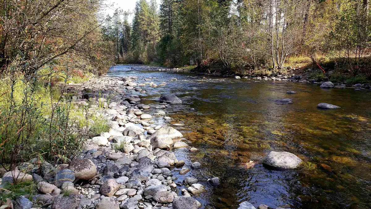 Northport, WA 99157,429X Hwy 25 Hwy