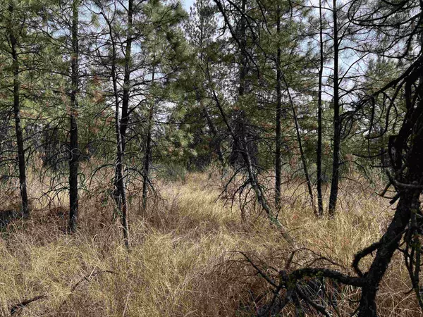 Reardan, WA 99029,Xxx Hwy 231 Hwy