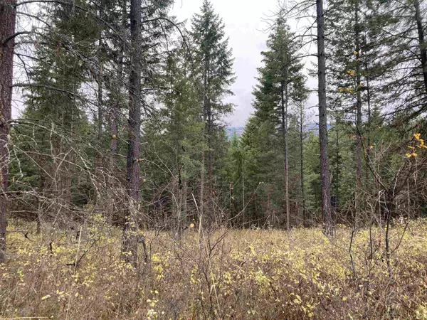 Kettle Falls, WA 99141,3434 XX Rockcut Rd