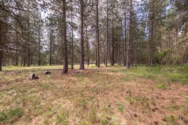 Deer Park, WA 99006,XX N Tudor Rd