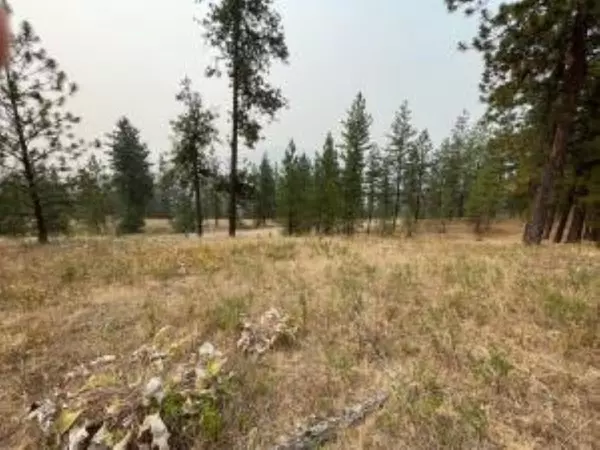 Chewelah, WA 99109,1606 PALMER LOOP