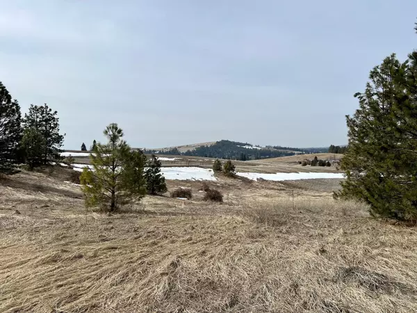 NHN W Orchard Heights Lot 30 Rd, Cheney, WA 99004