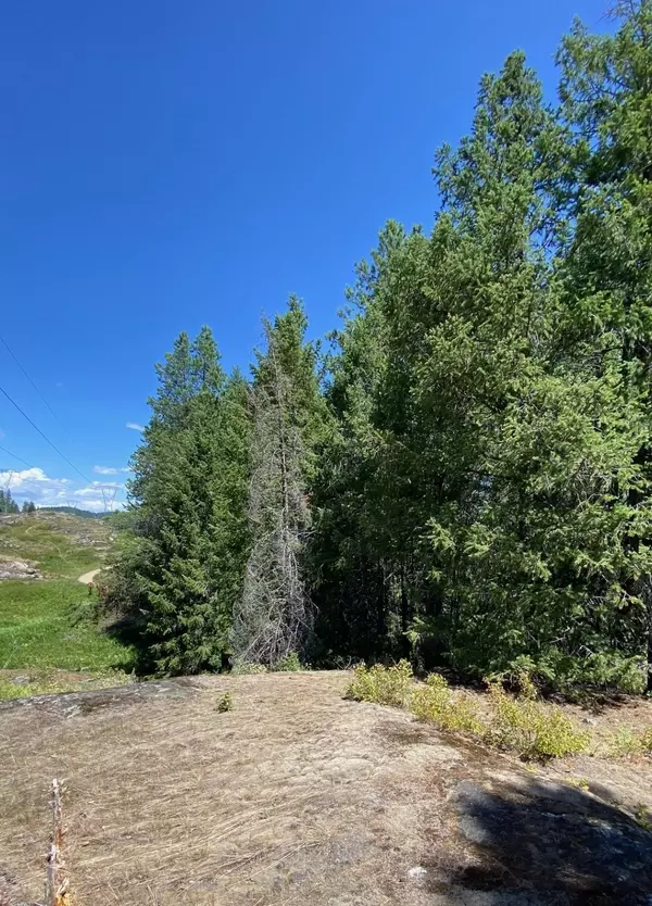 Newport, WA 99157,000 Diamond View Rd