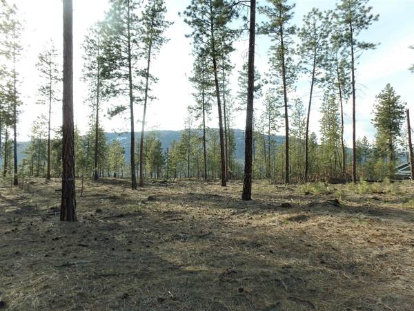 Lot #3 Fumi Cir, Kettle Falls, WA 99141