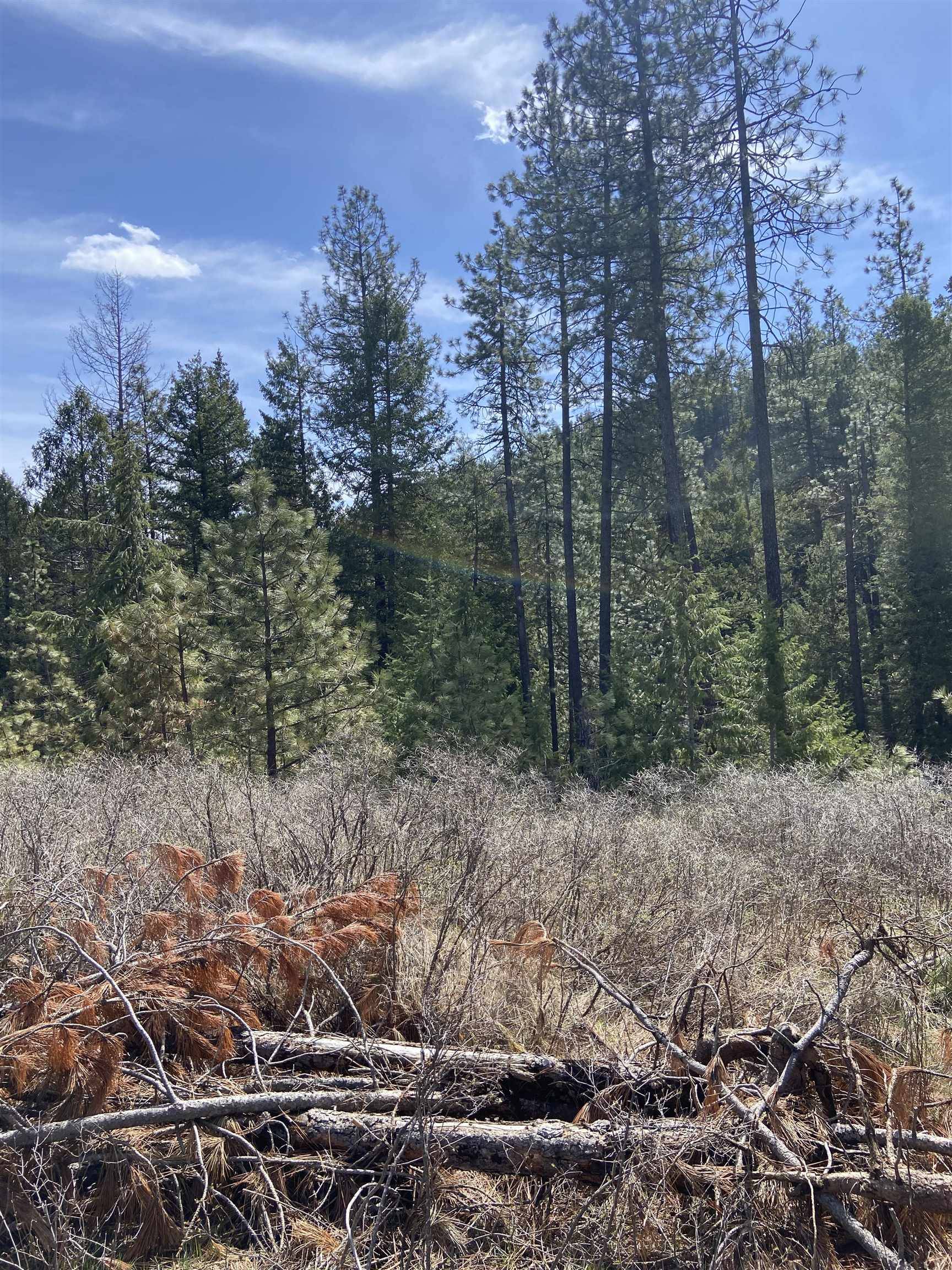 Springdale, WA 99173,420 N Beck Ln