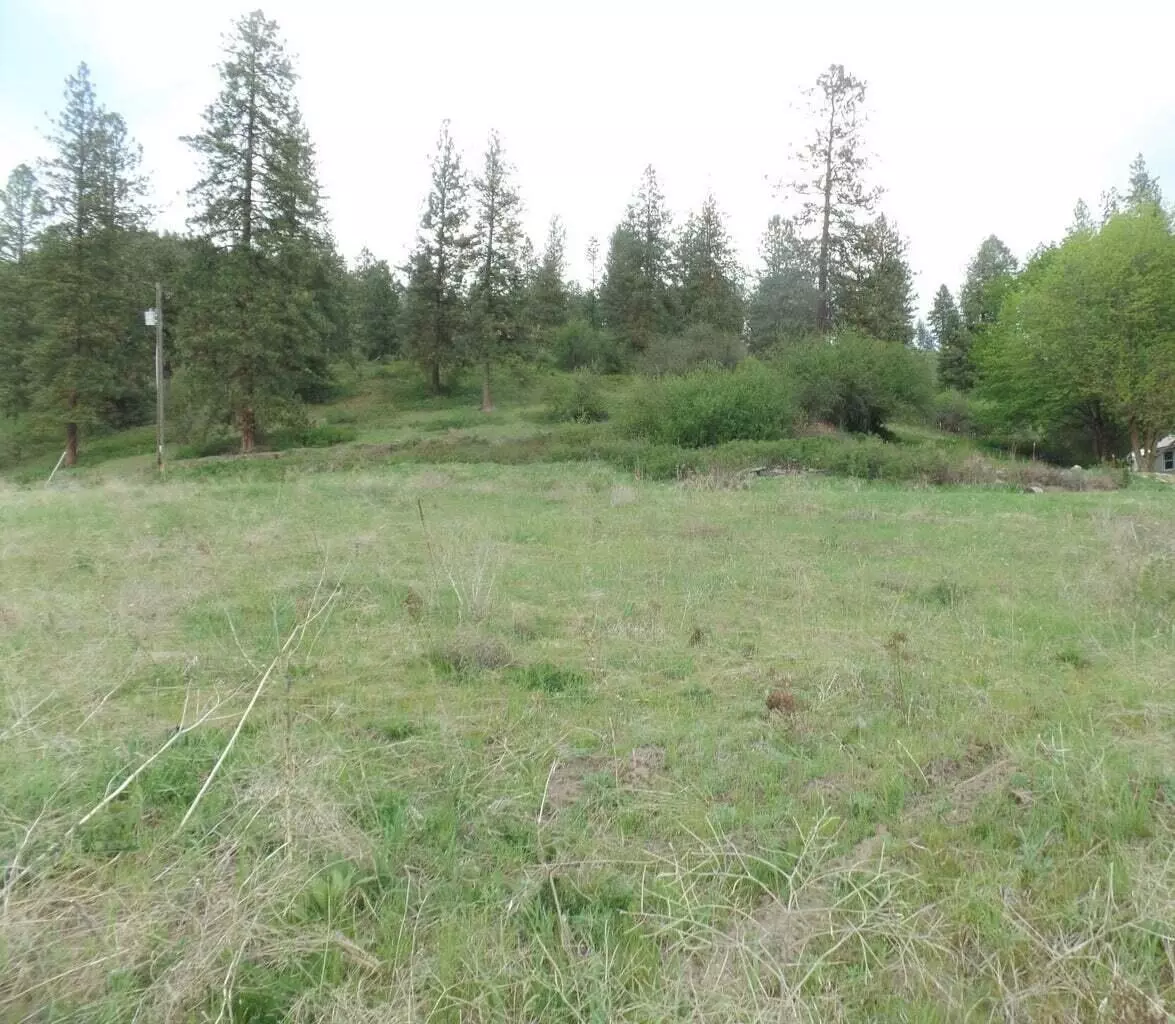 Colville, WA 99114,2XX HWY 395 #C Hwy