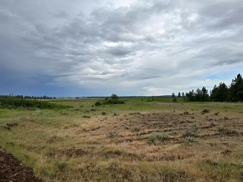 241XY W Kitt Rd, Reardan, WA 99029