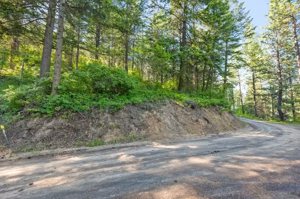 Loon Lake, WA 99148,4103 Tamarack Bay Rd