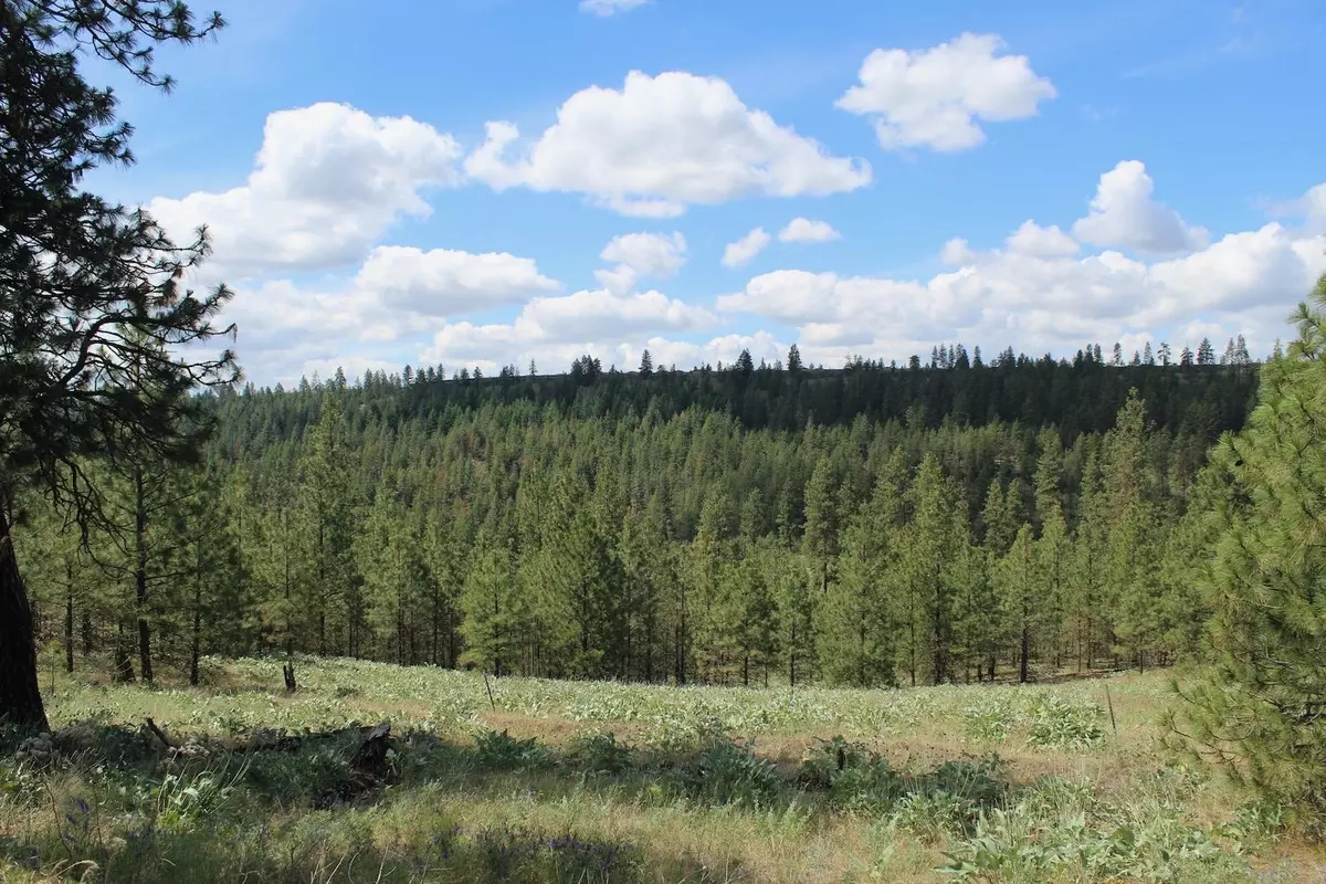 Davenport, WA 99122,Flicker 1 Sontag Ridge Ln