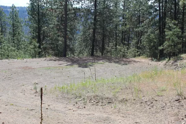 Davenport, WA 99122,Badger 4 Sontag Ridge Ln