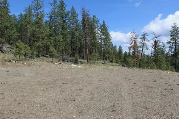 Davenport, WA 99122,Pine Forest 2 Sontag Ridge Ln