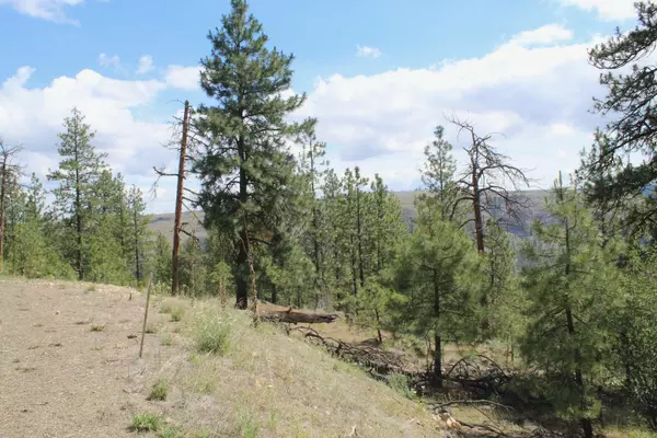 Davenport, WA 99122,Pine Forest 2 Sontag Ridge Ln