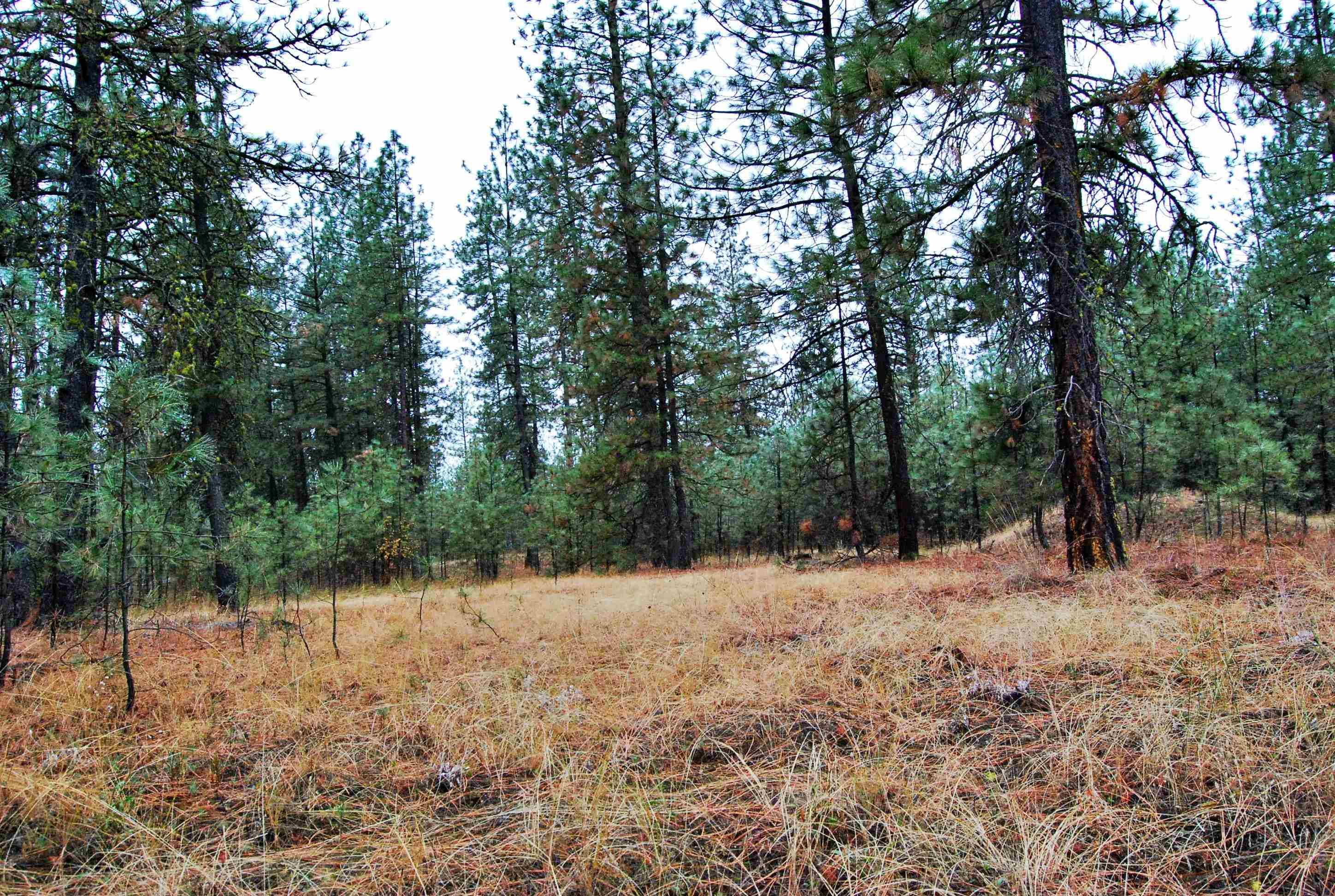 Nine Mile Falls, WA 99026,000 N Mathias (Unassigned Address) Ln