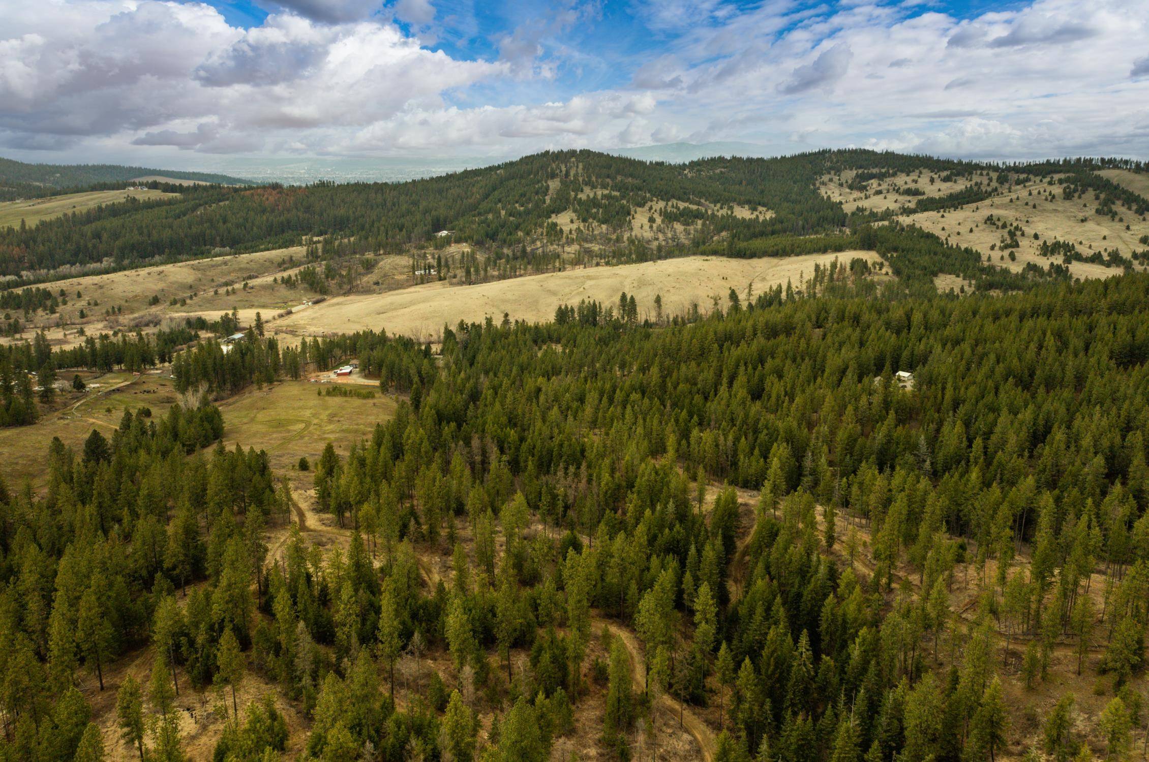 Mica, WA 99023,179XX E Belmont Rd #Lot #1