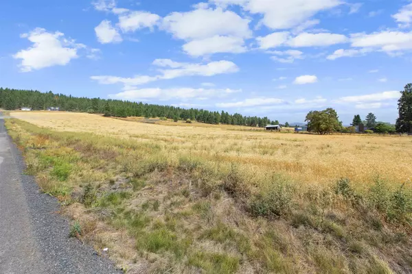 Chattaroy, WA 99003,TBD E Big Meadows Rd