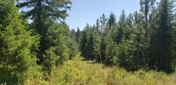 Loon Lake, WA 99148,3900 State Rd