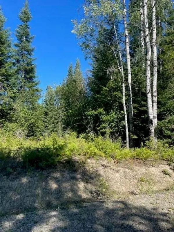 Ione, WA 99139,TBD Lot 13 N Leclerc Rd