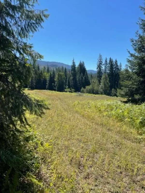 Ione, WA 99139,TBD Lot 13 N Leclerc Rd