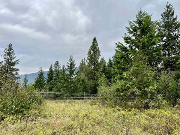 Kettle Falls, WA 99141,34 Peace Ridge WAY