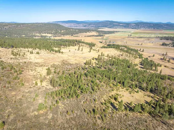 Reardan, WA 99029,NKA Parcel# 2639800012800 Rd