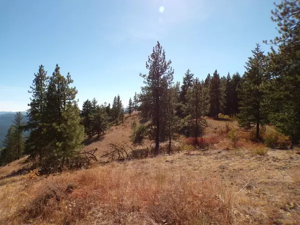 Inchelium, WA 99138,4XX A Buffy Ln