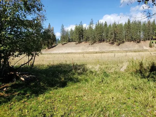 Colville, WA 99114-0000,118X Lot C Kitt-Narcisse Rd