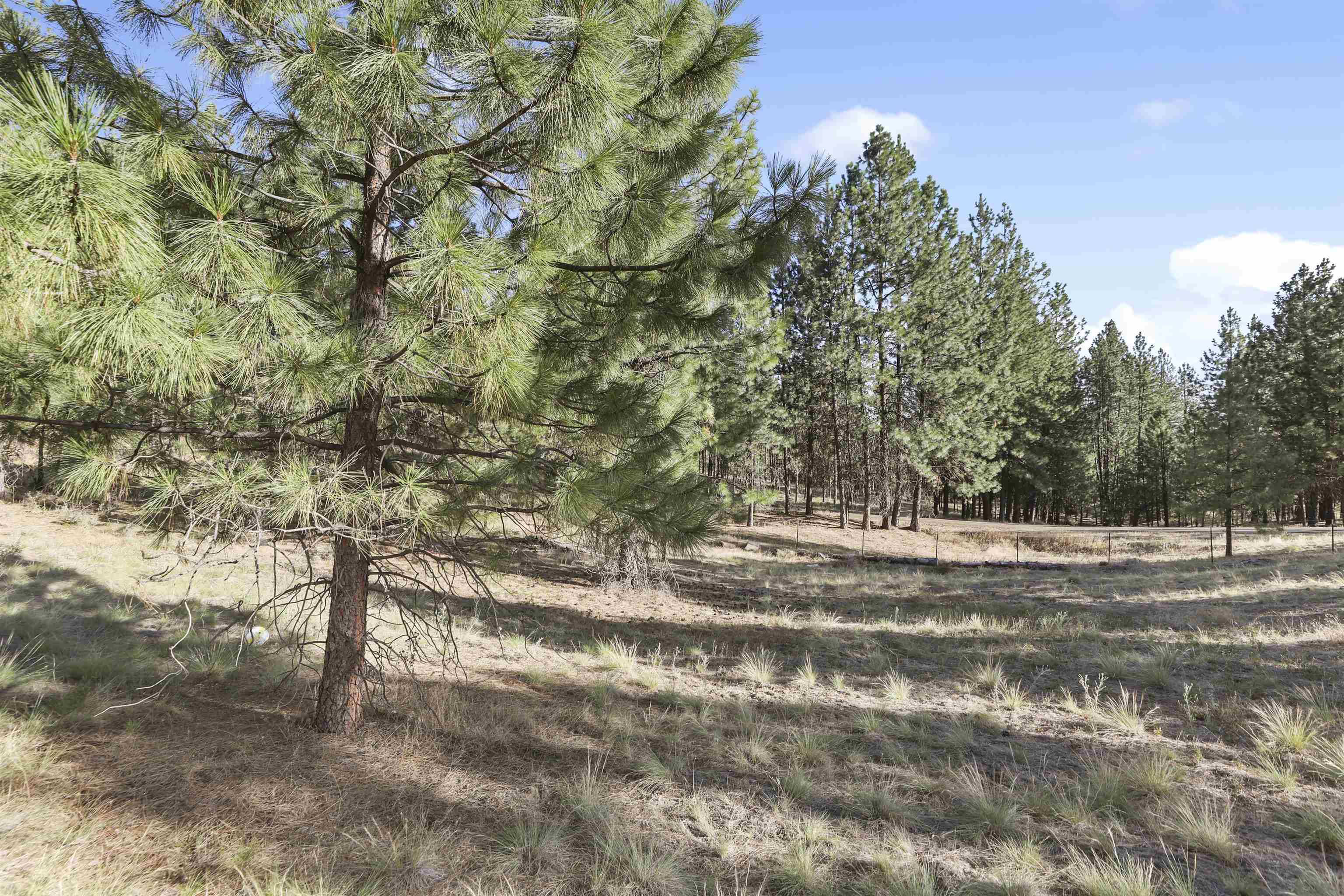 Nine Mile Falls, WA 99026,60878 Westview Dr