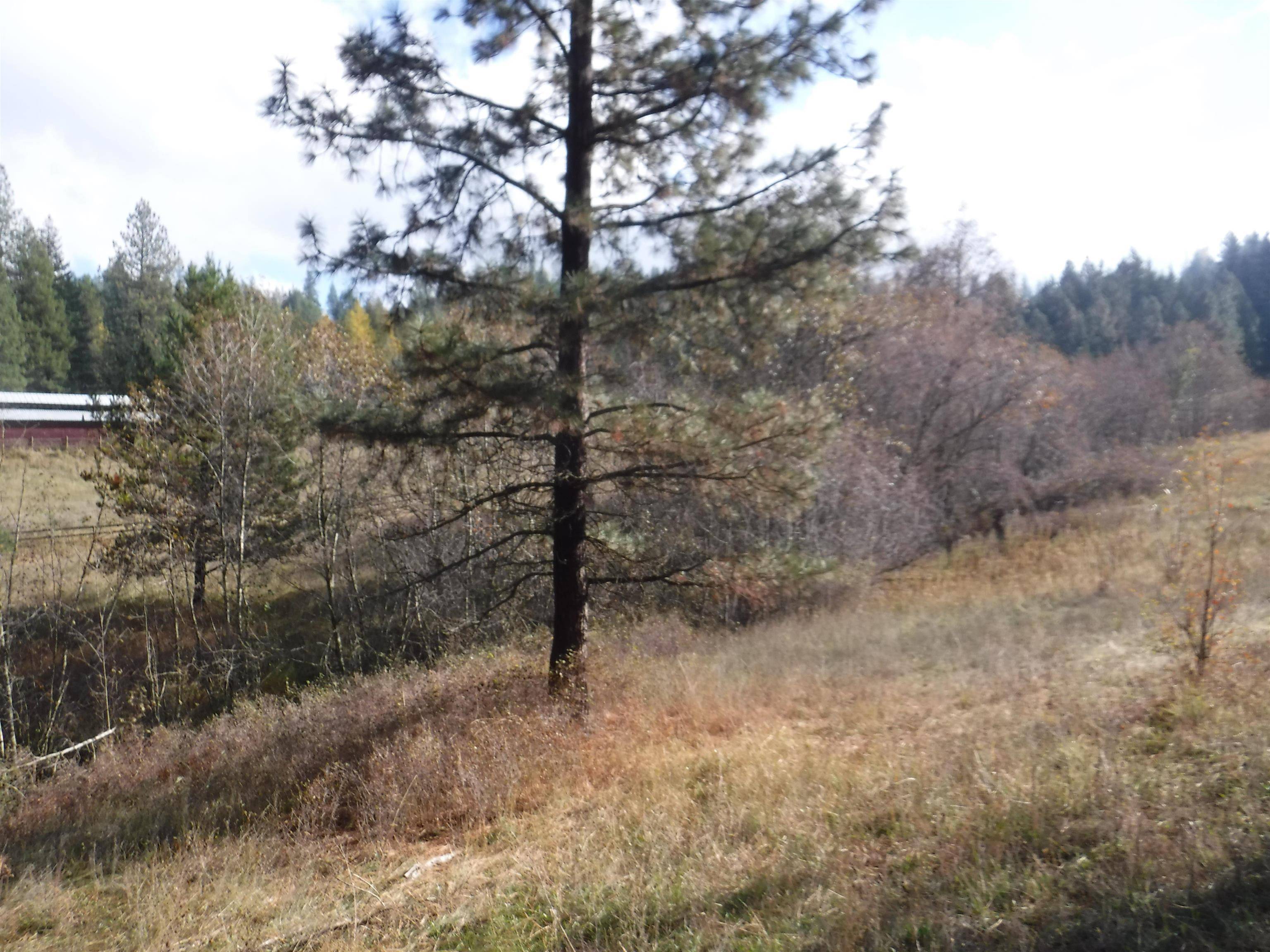 Mead, WA 99021,xx Mountain Top Ln