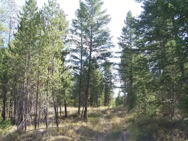 Springdale, WA 99173-0000,4XXX Lyon Hill Rd