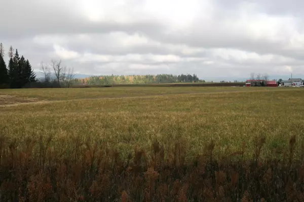 Deer Park, WA 99006,Lot 4 Mule Deer Ln