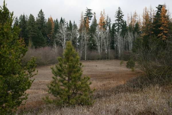 00 Mule Deer Lot 6 Ln, Deer Park, WA 99006