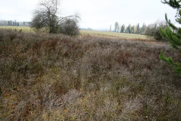 Deer Park, WA 99006,00 Dahl Lot 8 Rd