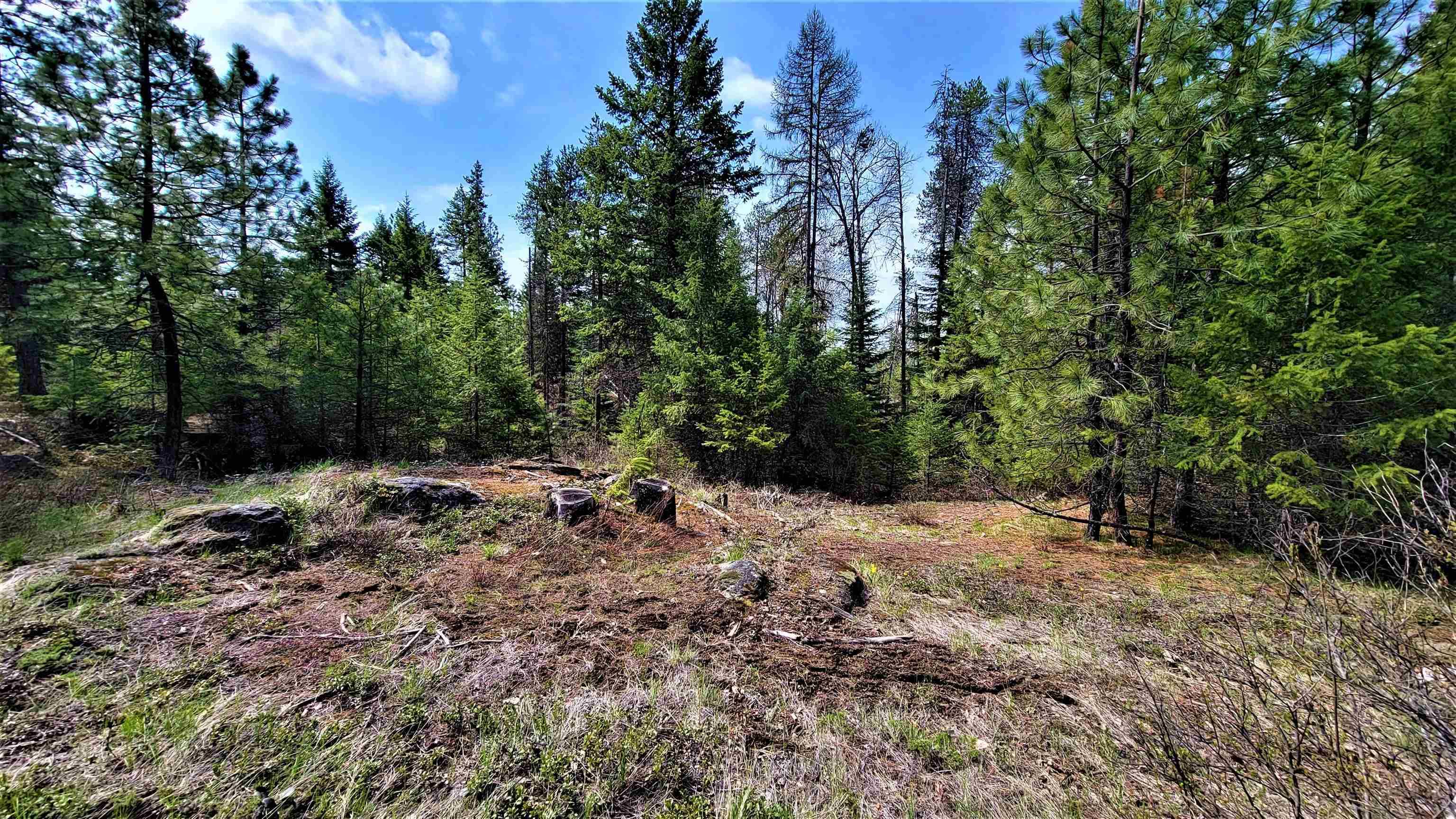 1301 Veit Rd, Newport, WA 99156